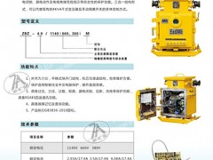 ZBZ-10.0/1140(660)MM照明綜合保護裝置